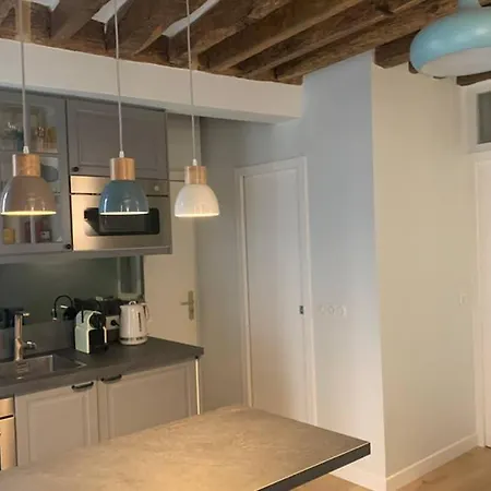 Charming Saint Germain Odeon Luxembourg Apartment Paris